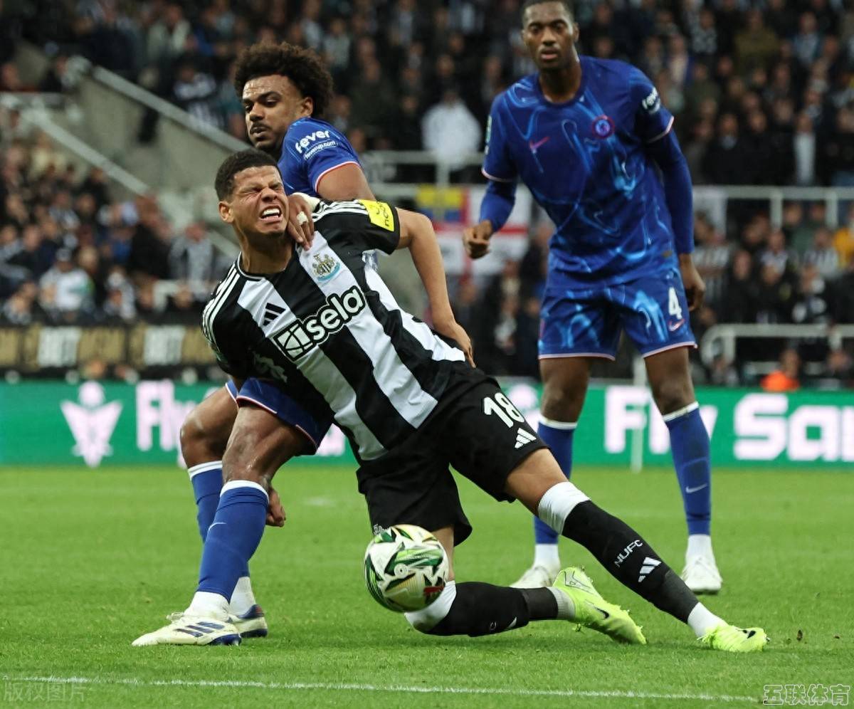 包含西汉姆联新援在训练中展现球技的词条 包含西汉姆联新援在训练中展现球技的词条