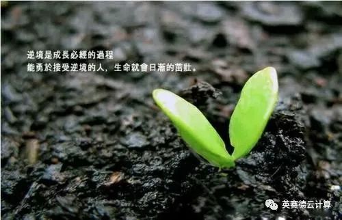 开云体育入口-包含法兰克福为逆境做准备，追逐成功之日的词条