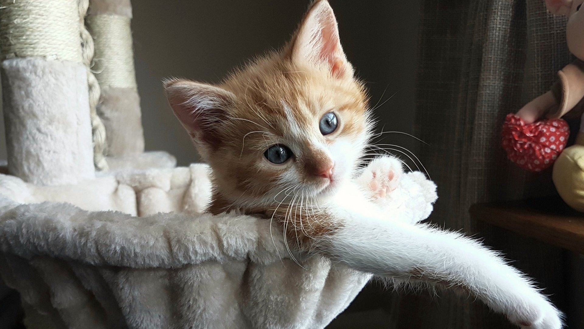 开云平台-马刺鏖战掘金告捷，塔图姆关键先生闪耀