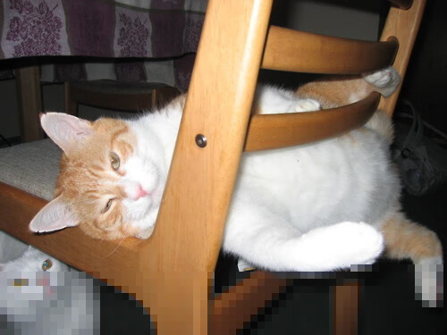 欧冠半决赛惊魂夜，德布劳内接管比赛，曼城险胜塞维利亚晋级