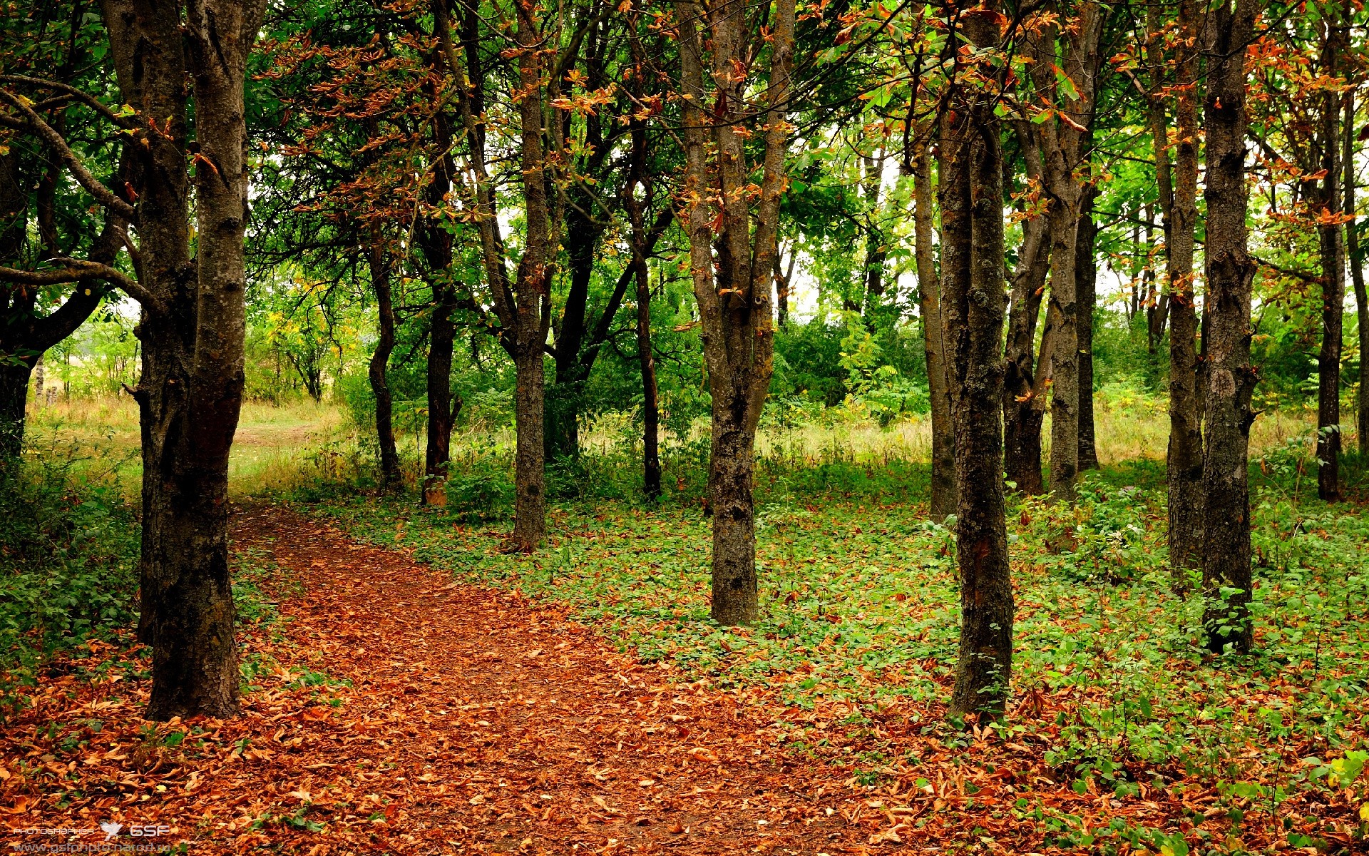 西甲国家德比之夜，京多安刷新纪录的辉煌篇章