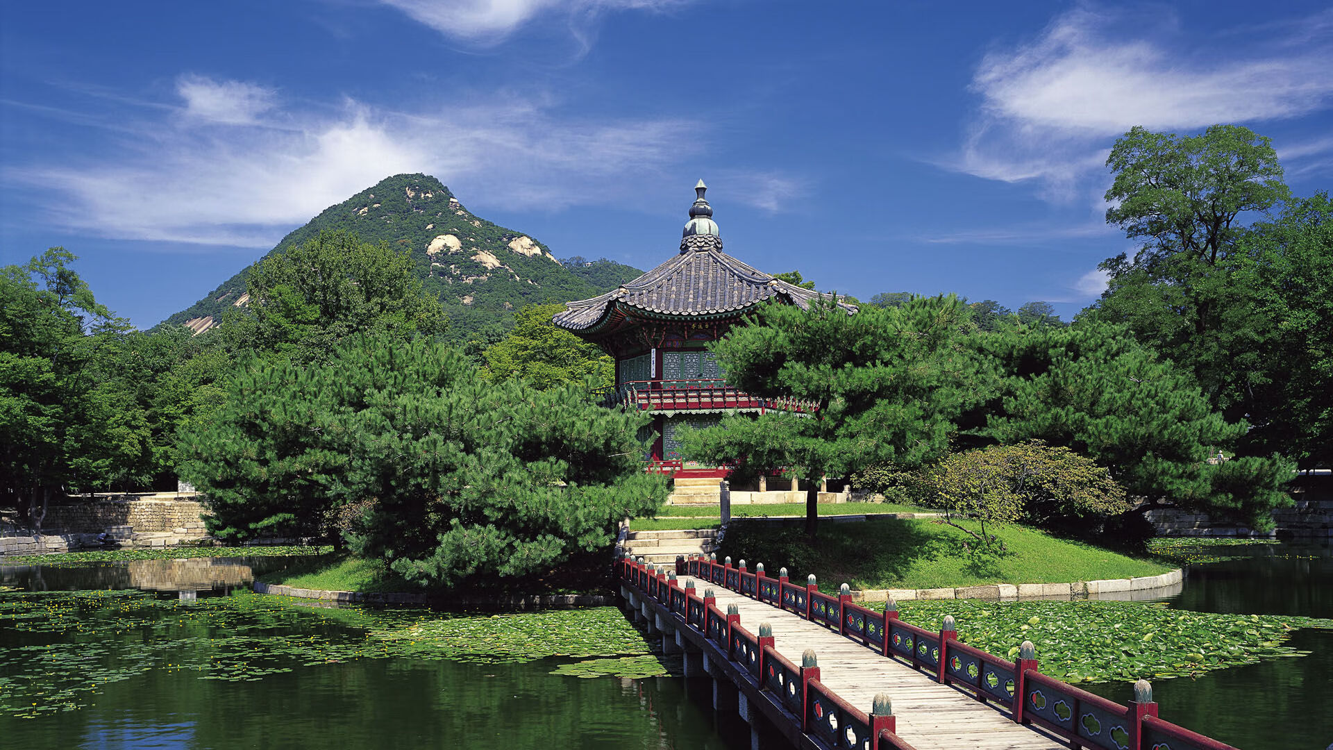 开云体育中国-暗流，当贝蒂斯击溃巴西，看巴斯托尼如何用哲学接管德甲争冠战