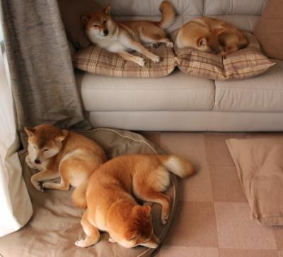 跨界狂飙,内马尔领军逆转东决关键之夜