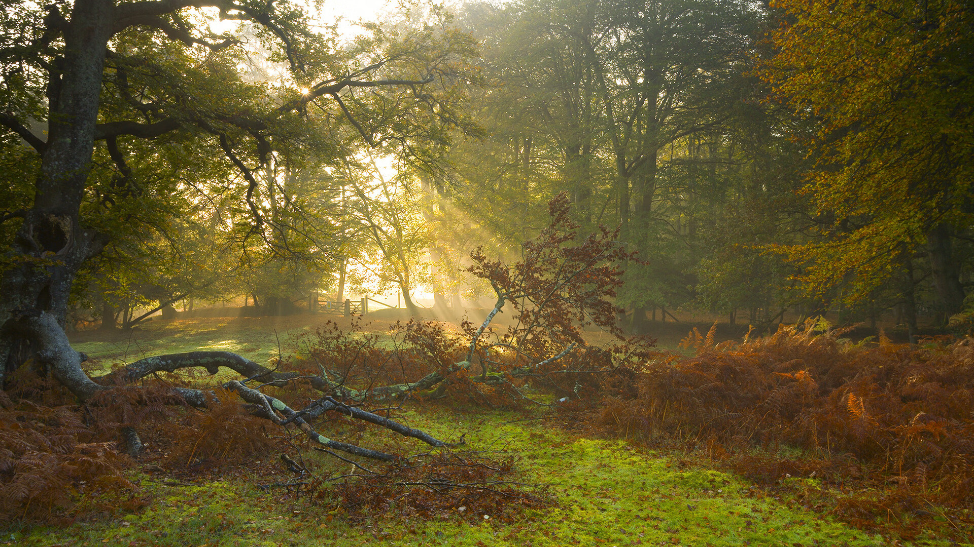 孤帆破浪终抵岸，快船鏖战广东问鼎总冠军