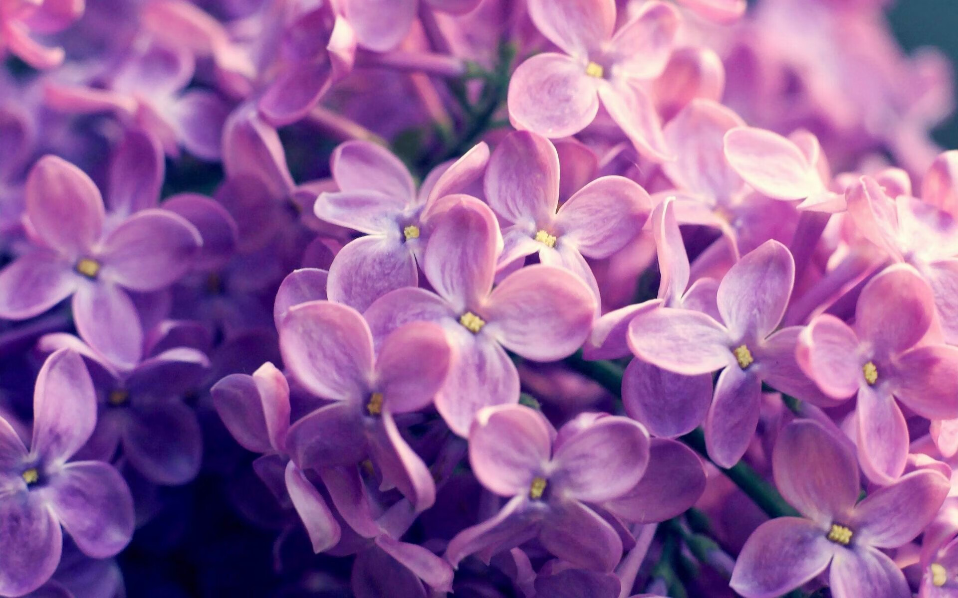 开云体育登录-绝境下的利刃！米切尔轰下29分爆发，骑士力压凯尔特人夺关键战