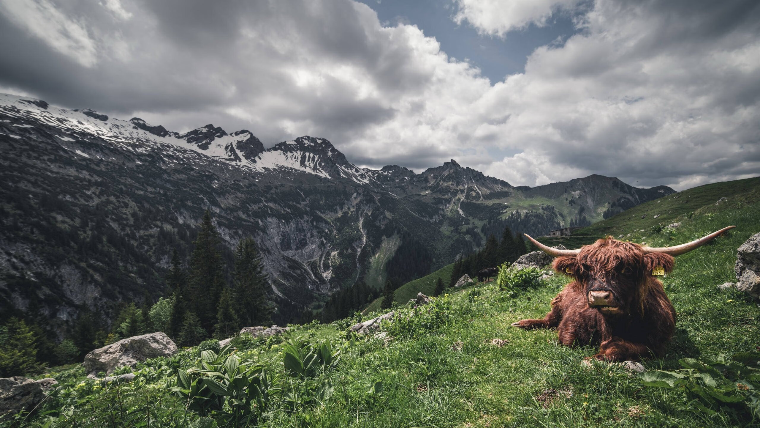 字母哥无敌肆虐，辽宁队跨洋横扫凯尔特人创奇迹