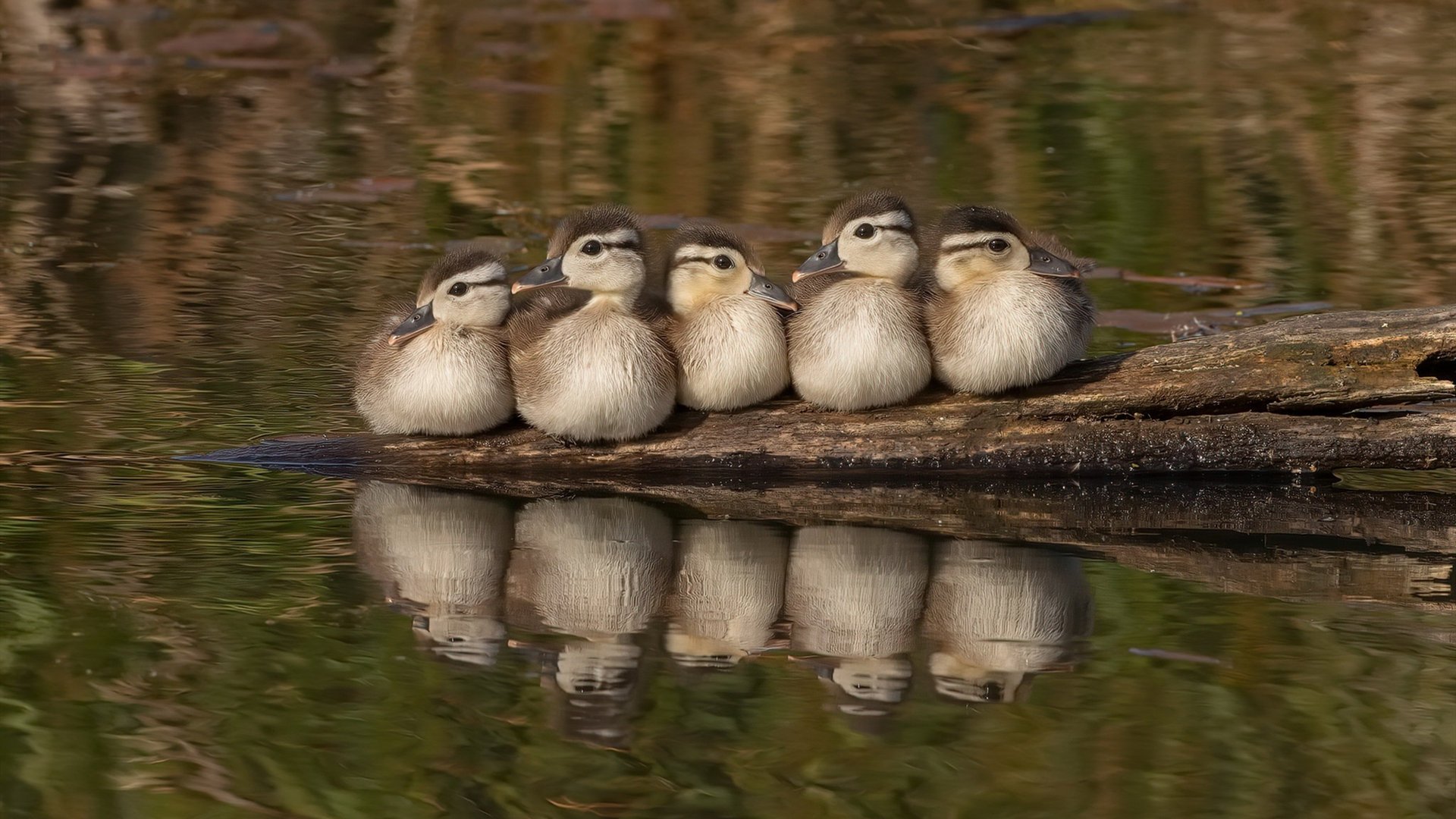 开云体育官方网站-双线战役，风驰电掣的缠斗与铁壁铜墙的坚守