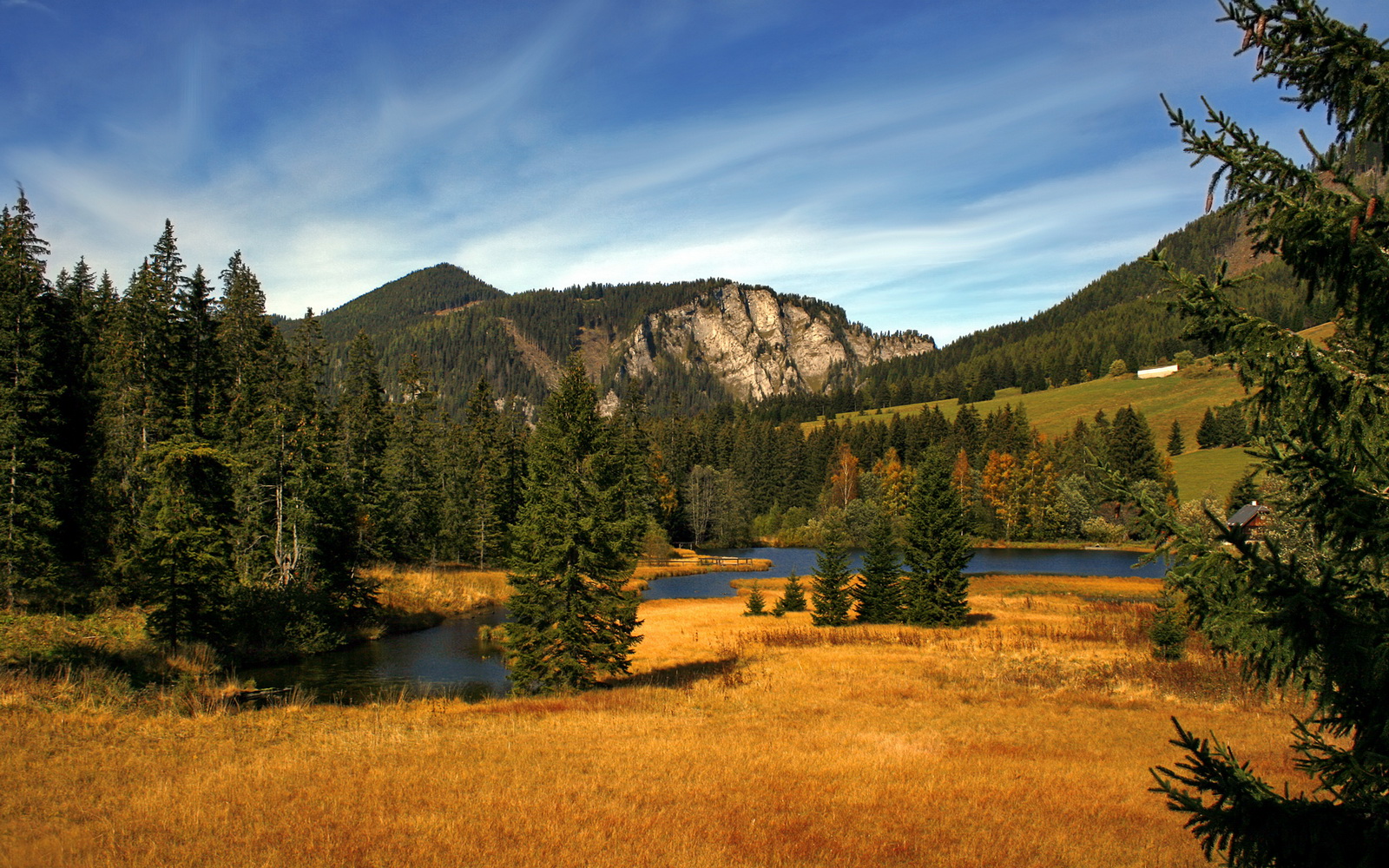 东契奇绝地三分！广东最后时刻上演逆转好戏，欧洲天王无愧关键先生