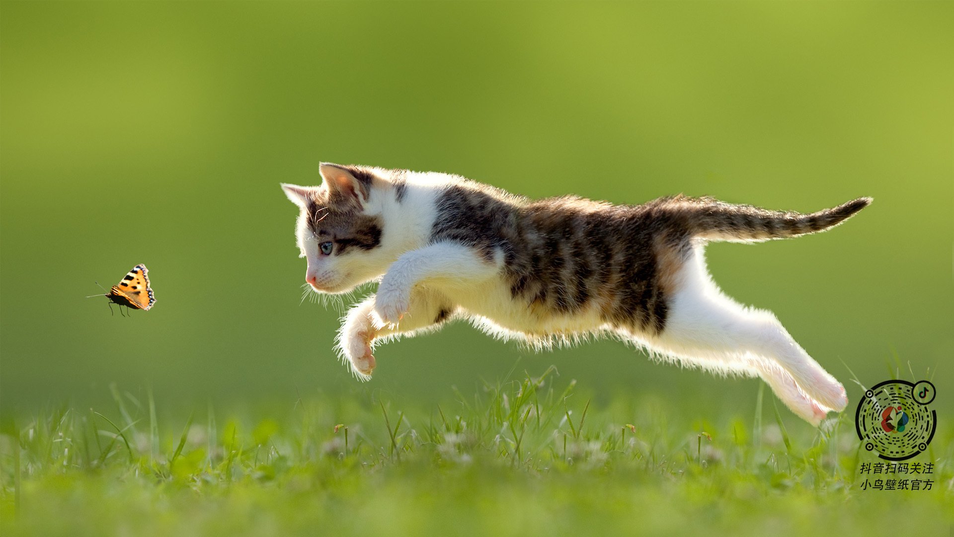 开云体育下载-东决关键战焦点，多特蒙德强势打穿秘鲁，足球跨界对决震撼上演