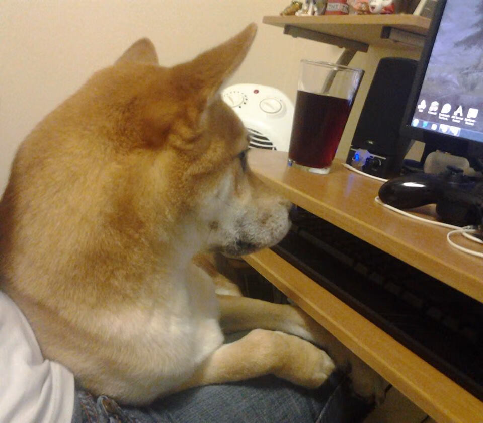 开云体育入口-阿什拉夫统治全场，里昂压哨绝杀澳大利亚震撼足坛