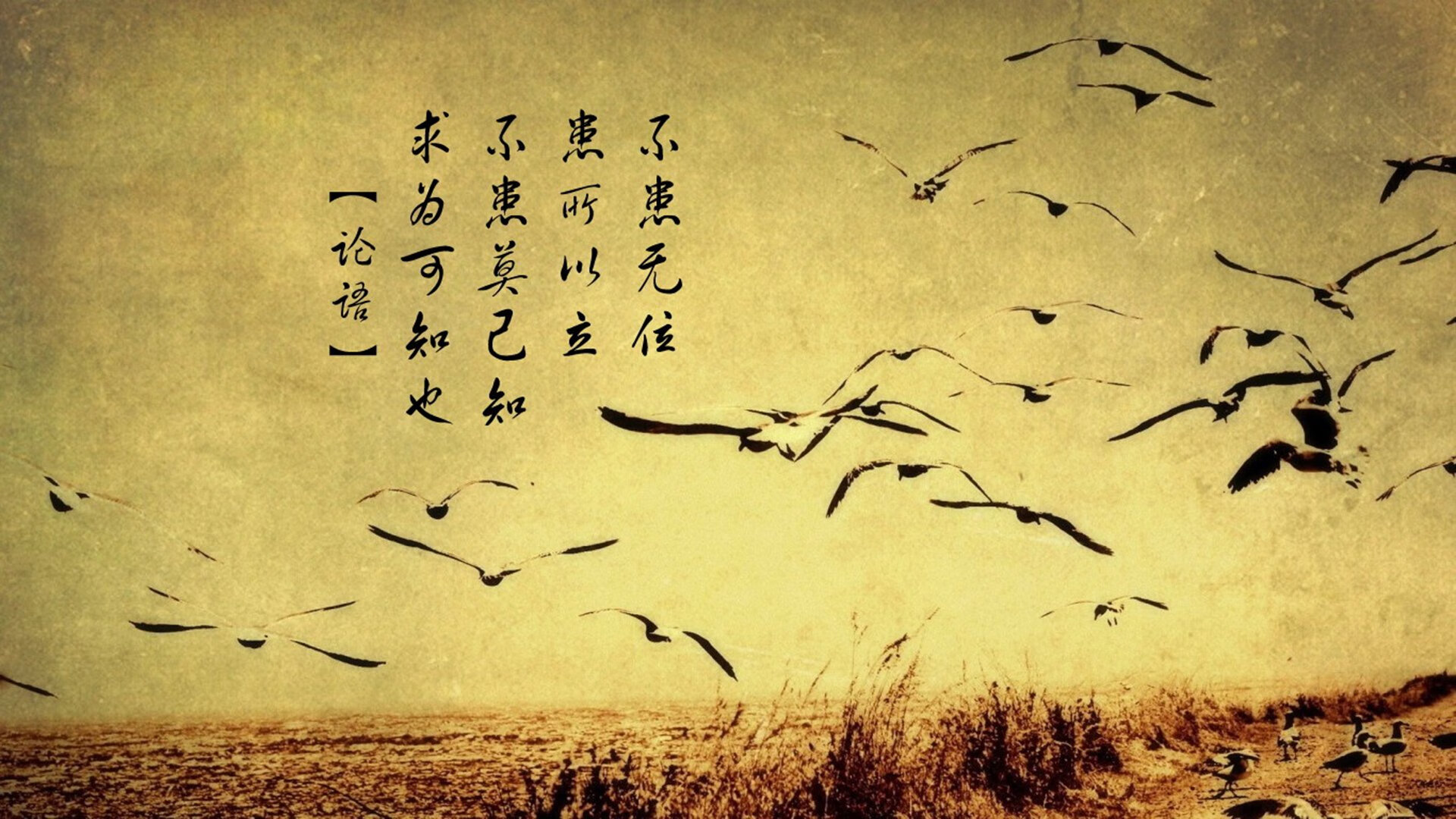 三分箭雨淹撕裂之城，库里一人改写鹿拓攻防棋局