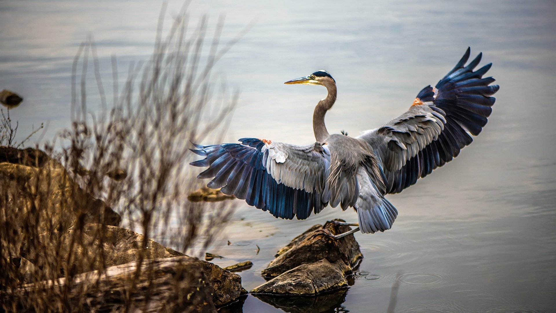 开云下载-活塞斩落太阳，杰伦·格林在总决赛的熔炉中锻造传奇