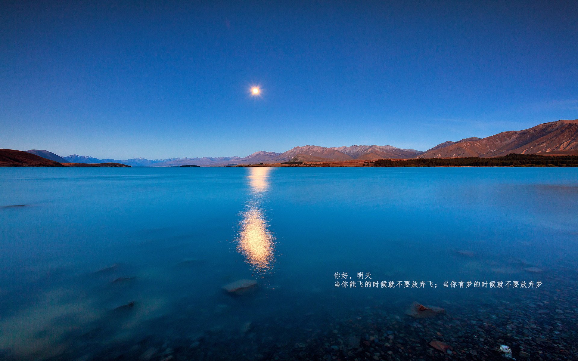 开云体育在线-塔图姆，抢七之夜的关键先生，不手软的领袖
