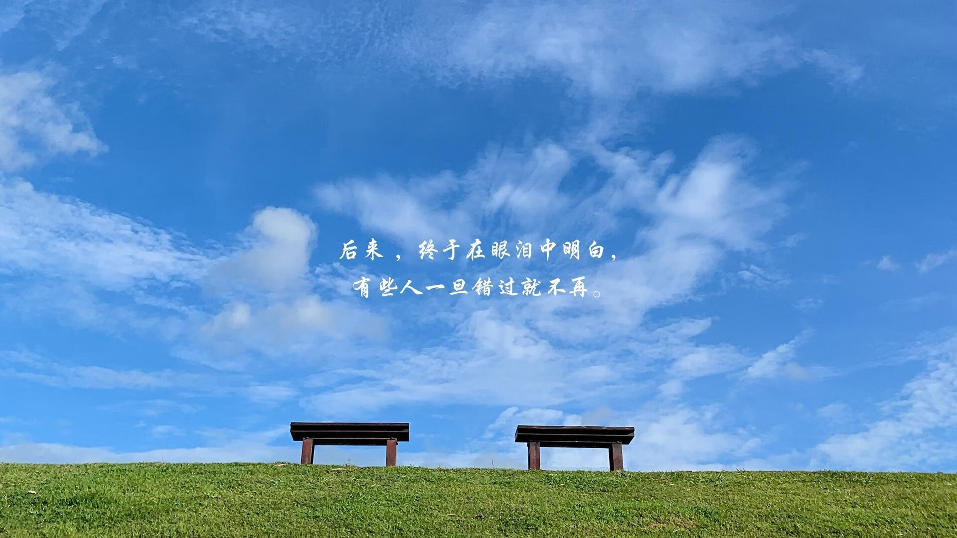 孤胆骑士与紫金军团，当个人英雄主义照亮团队篮球的终极奥义