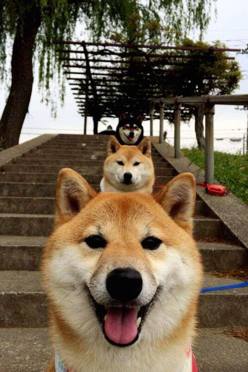 开云官网-保罗掌控全场，76人轻取上海队获季前赛首胜