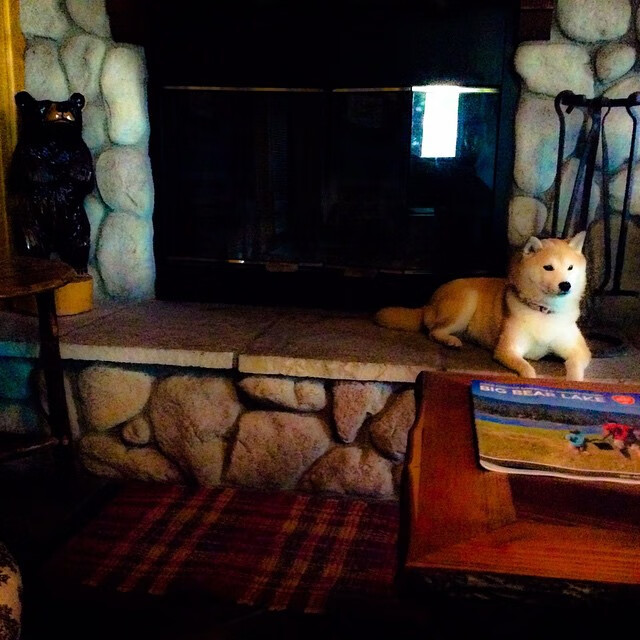 稳定如钟的孤星与奔腾如江的星河，当格列兹曼遇见勒沃库森