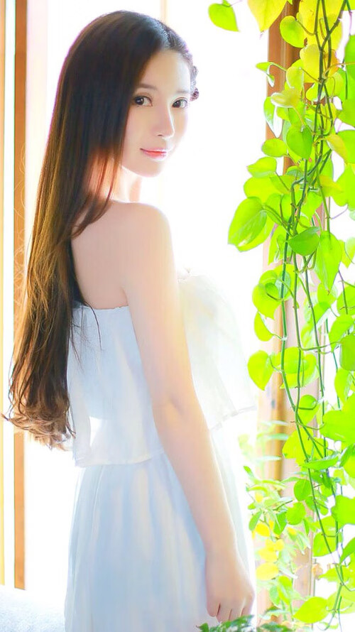 北境烽烟，燎原之星